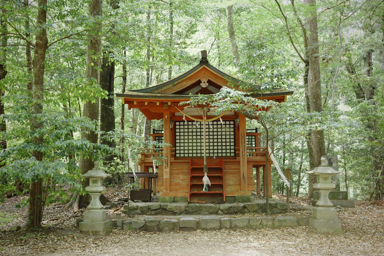 KAIYUN-石平去日本后,与中国妻子离婚,与日本妻子离婚,与父母断绝来往