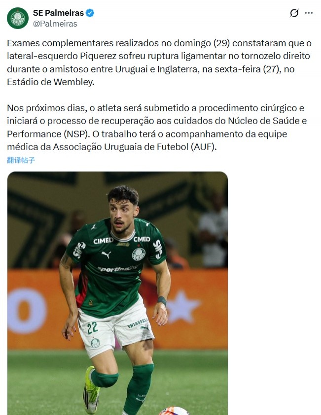 开云体育官网-战英格兰受伤，帕尔梅拉斯官方：乌拉圭后卫皮克雷斯脚踝韧带撕裂